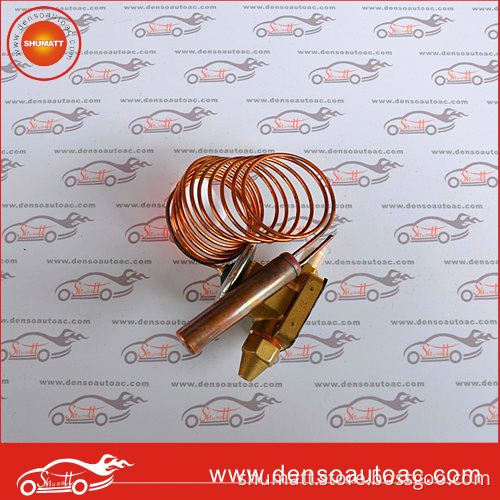 compressor unit bus honeywell expansion valve for Chinese Bus
